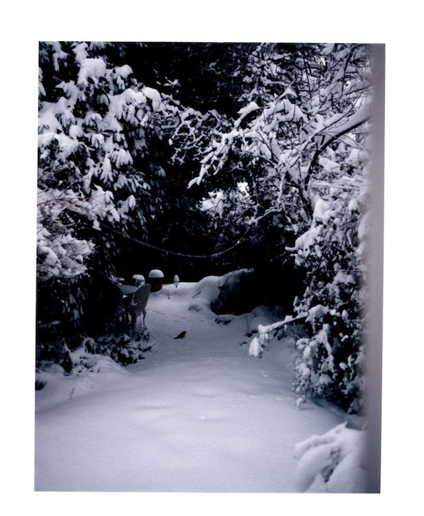 Snow!