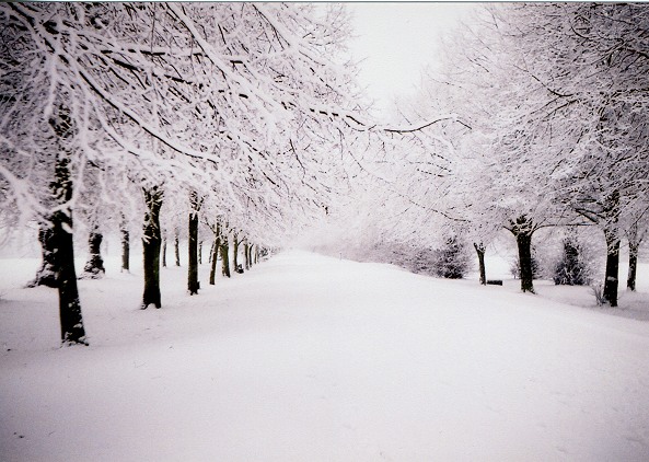 Snow