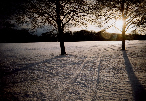 Snow