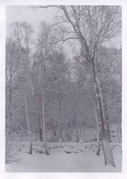 Snow