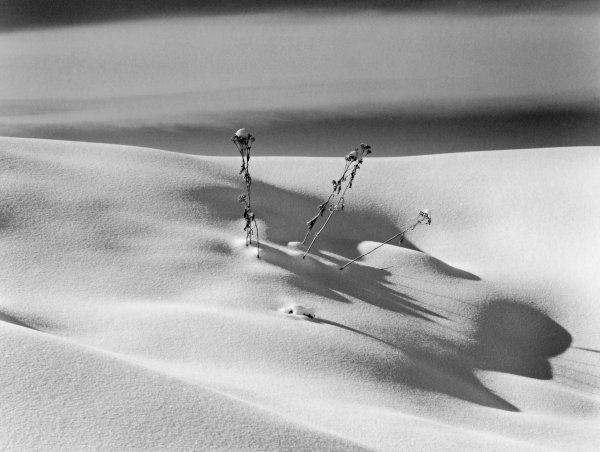Snowbank