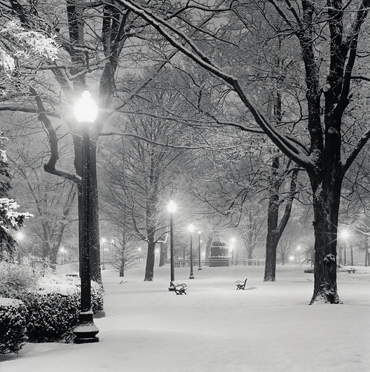 Snowfall, Centennial Park