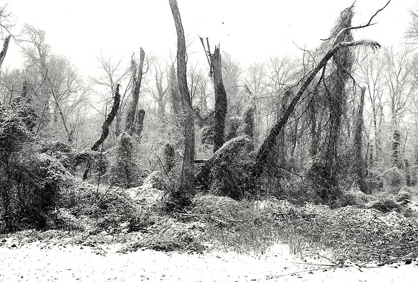 Snowing