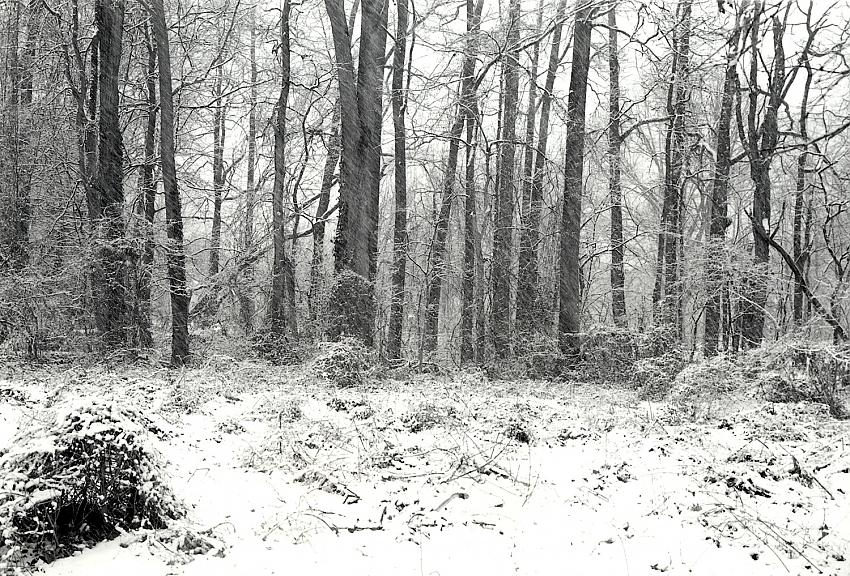 Snowing