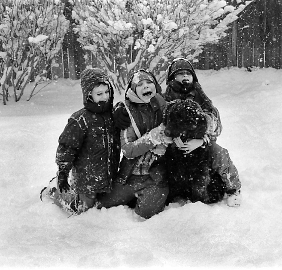 Snowlickers
