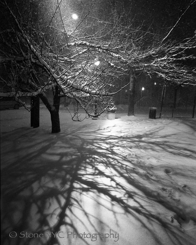 Snowpocalypse 2013 - Tree Shadow