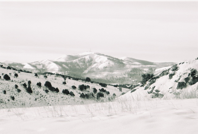 "snowscape"