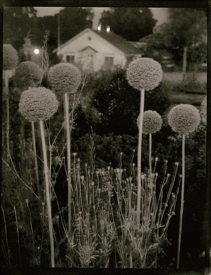 Snug Harbor At Night (1) Pd