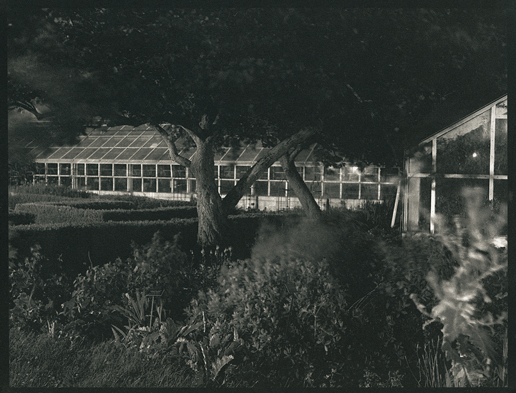 Snug Harbor-neg-4-Pd