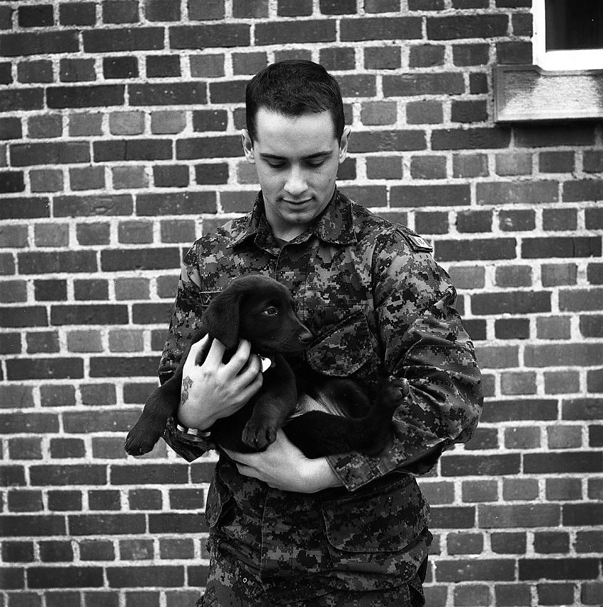 Soldier and Puppy