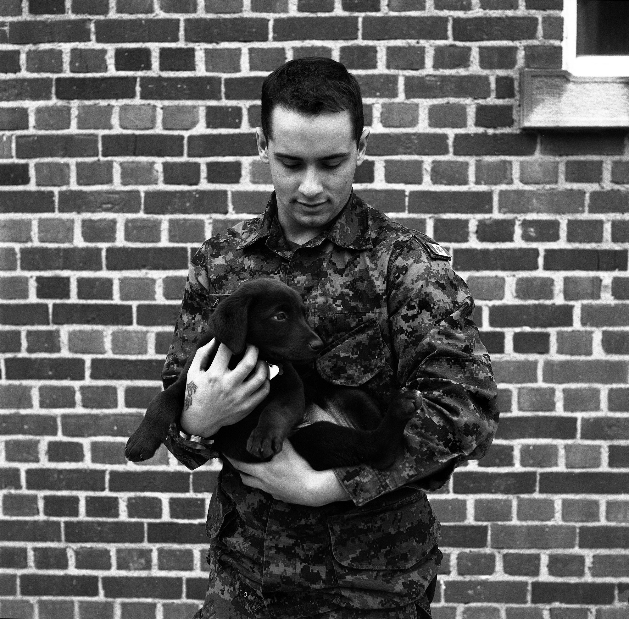 Soldier and Puppy