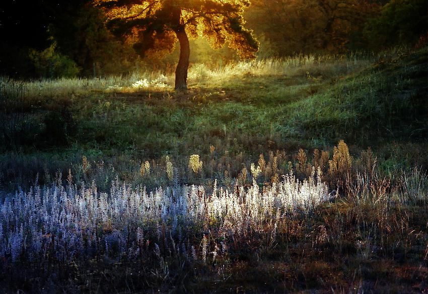 Some autumn photos
