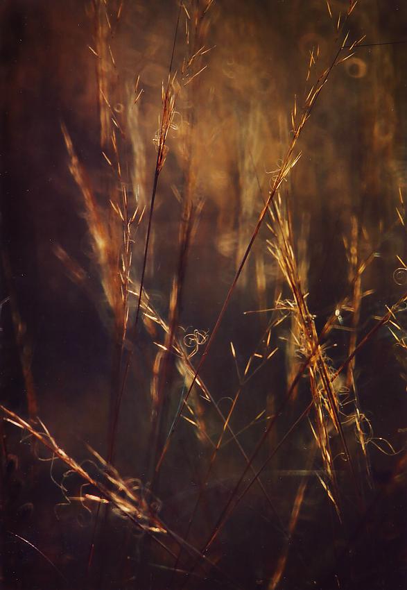 Some autumn photos