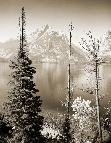 Some of my Yellowstone and Grand Teton trip