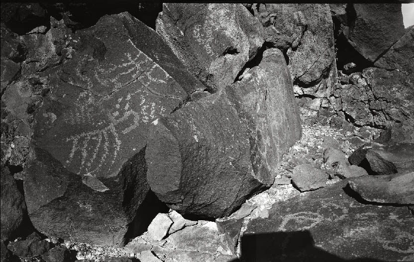 Some Other Guy's Pictures