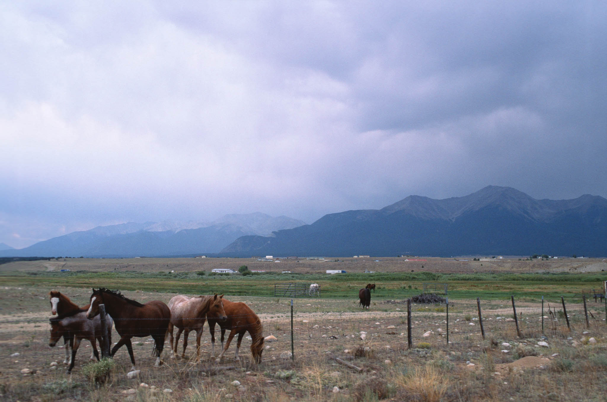 Somewhere between a flat tire and Buena Vista, CO