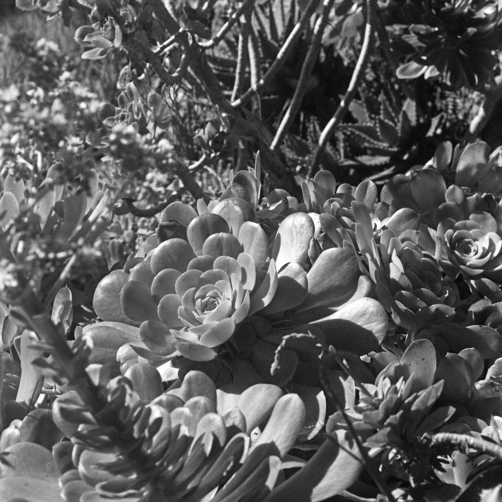 Somewhere in San Diego 2017