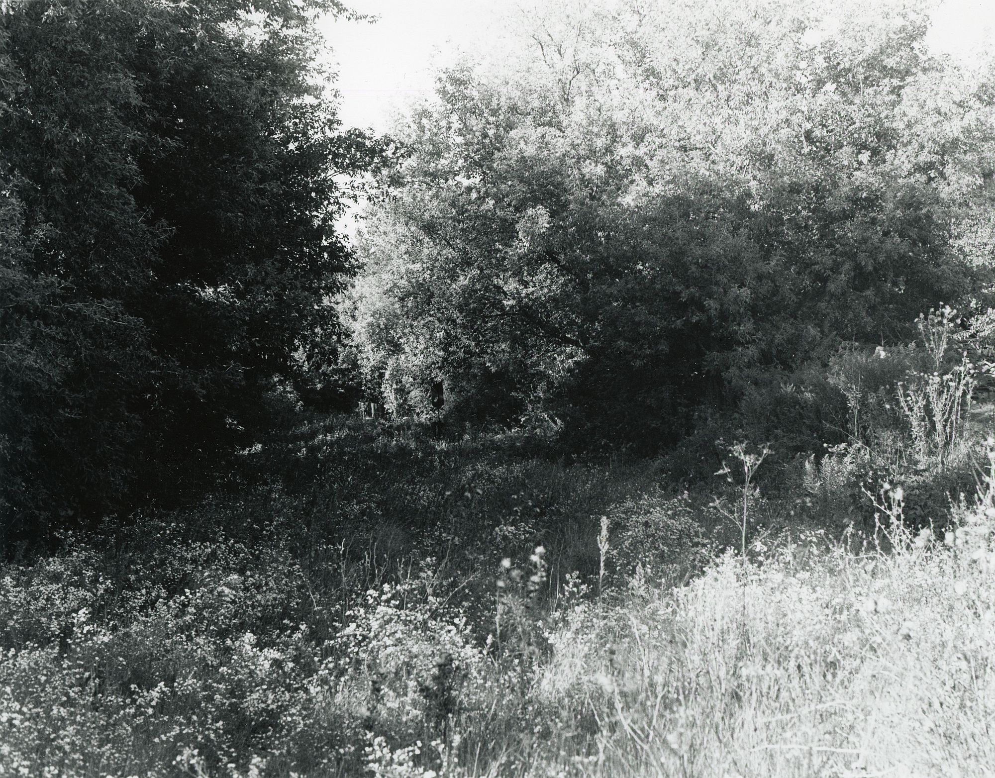 Sonatas I-10 (adagio)