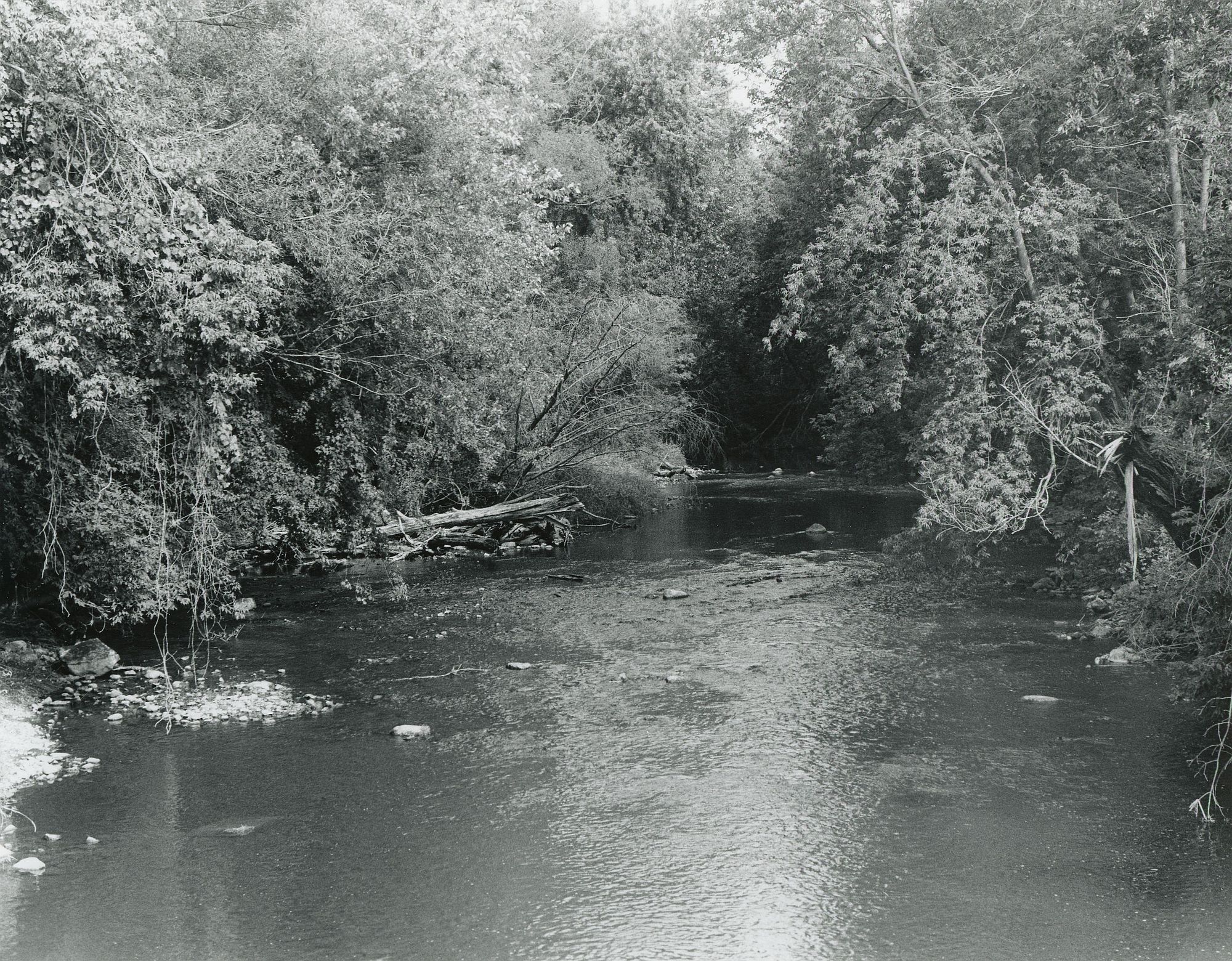 Sonatas I-11 (adagio)