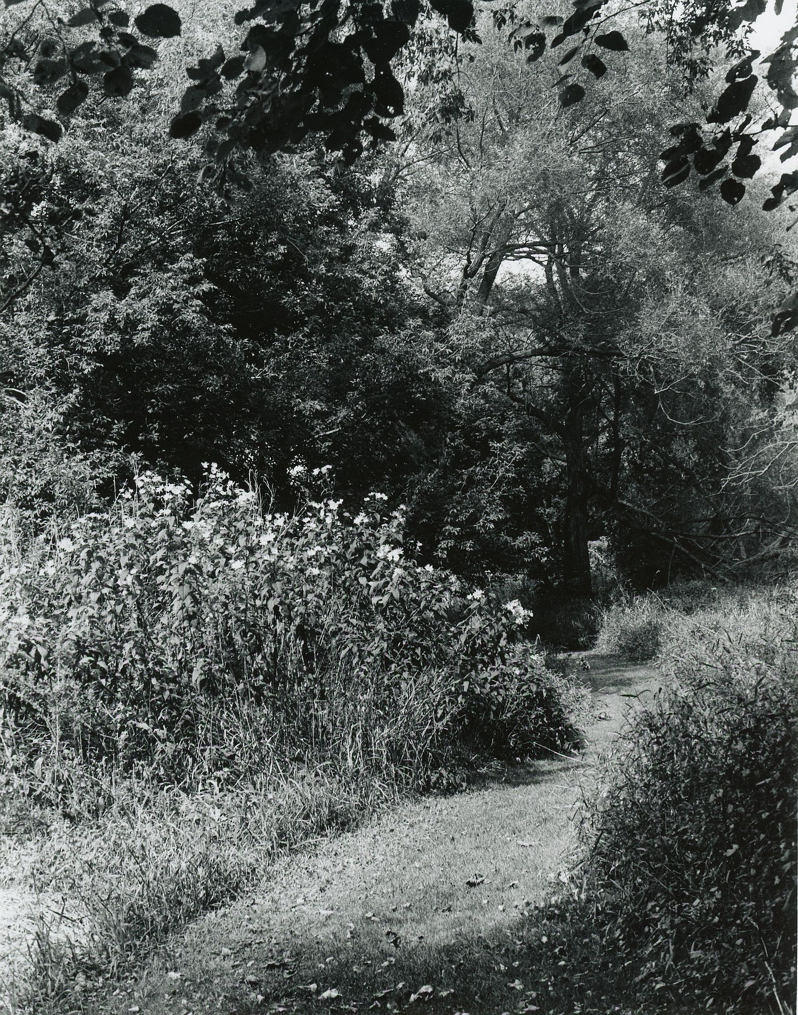 Sonatas I-6 (adagio)