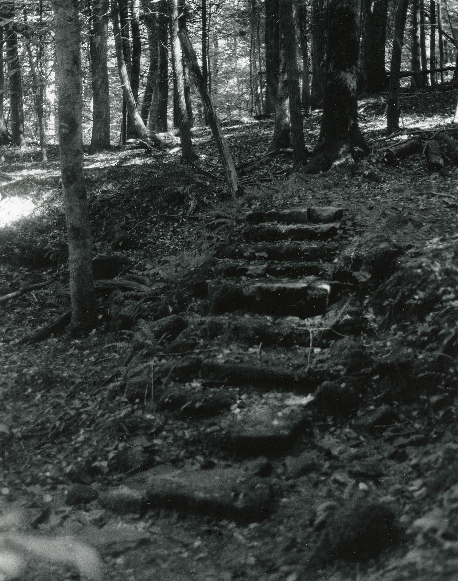 Sonatas II-1 (adagio)