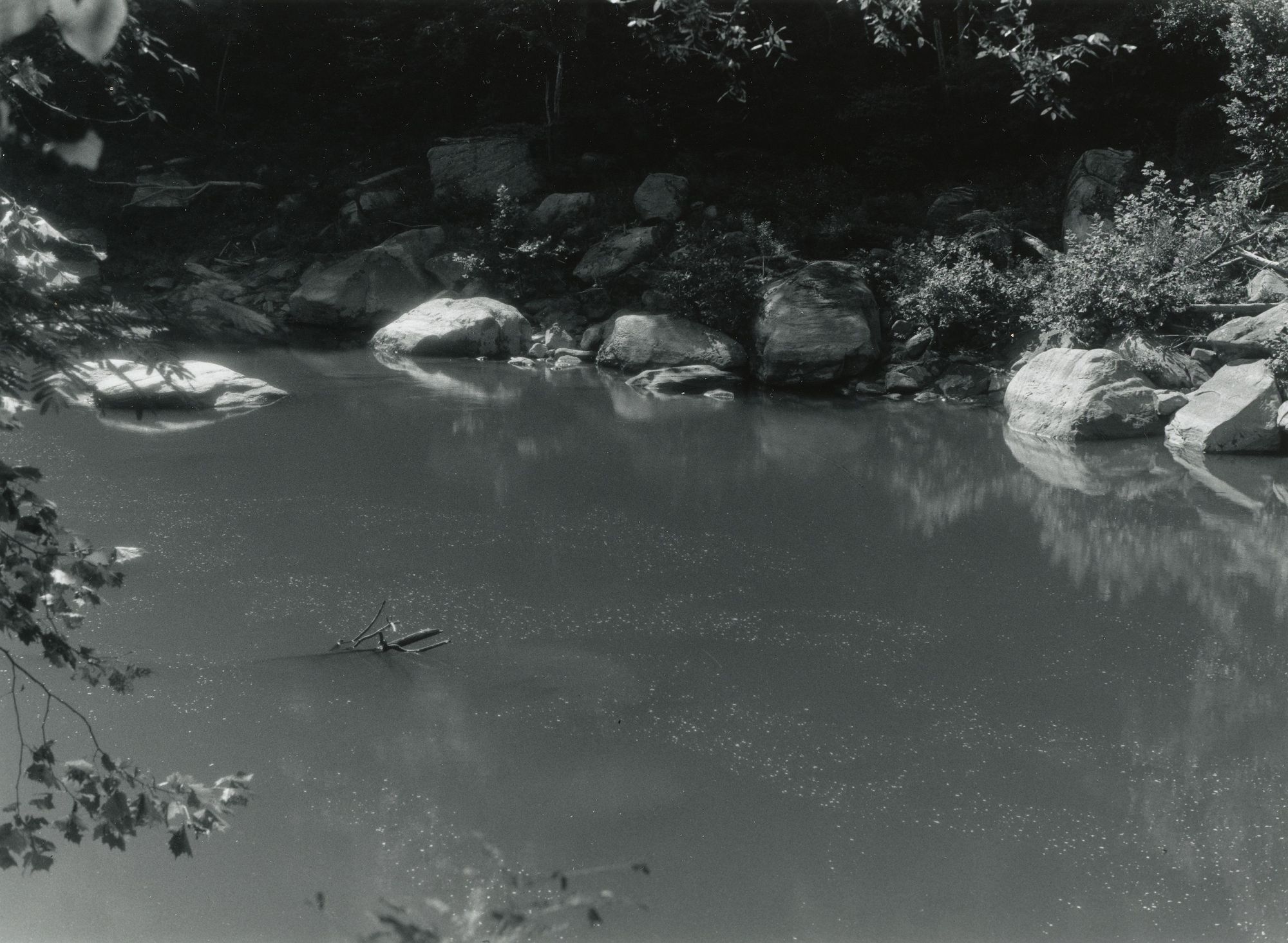 Sonatas II-11 (presto)