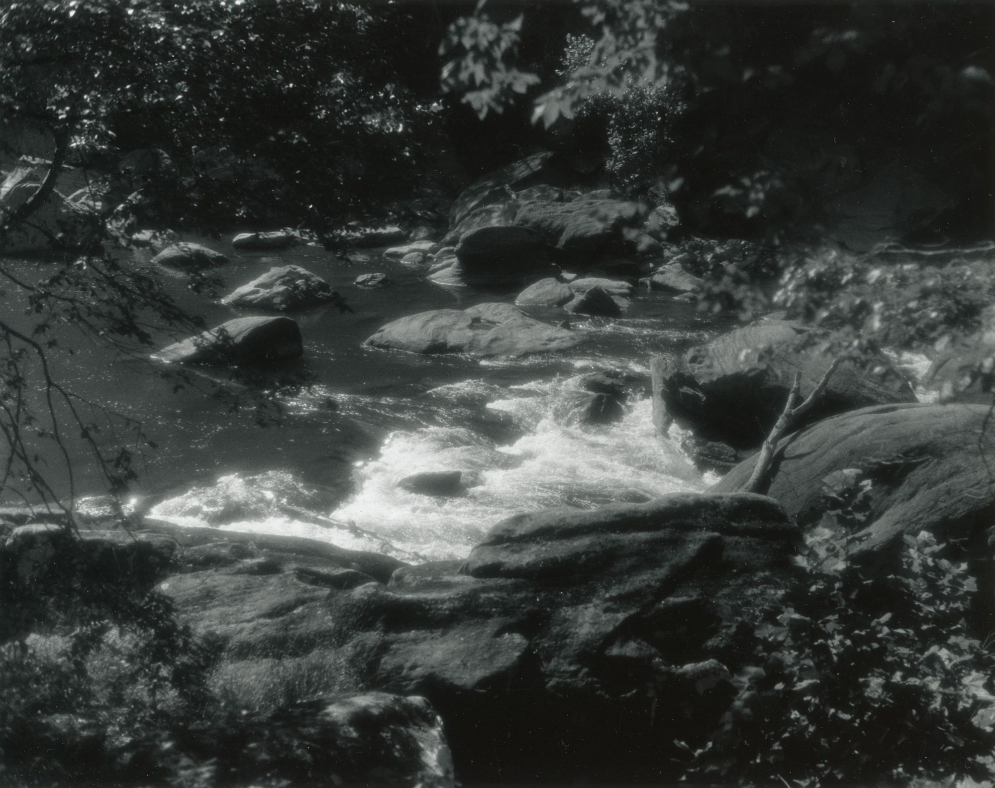 Sonatas II-15 (presto)