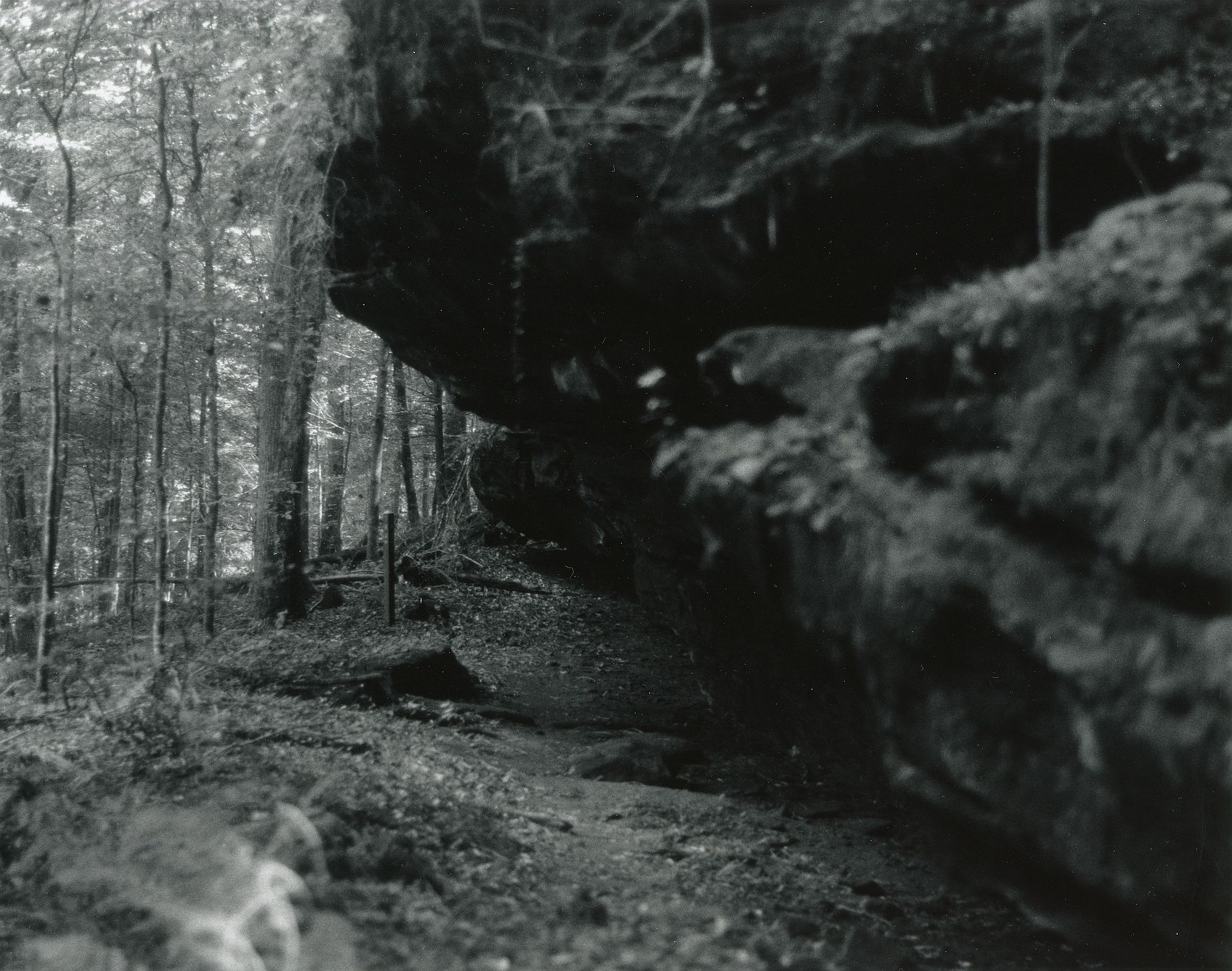 Sonatas II-2 (adagio)