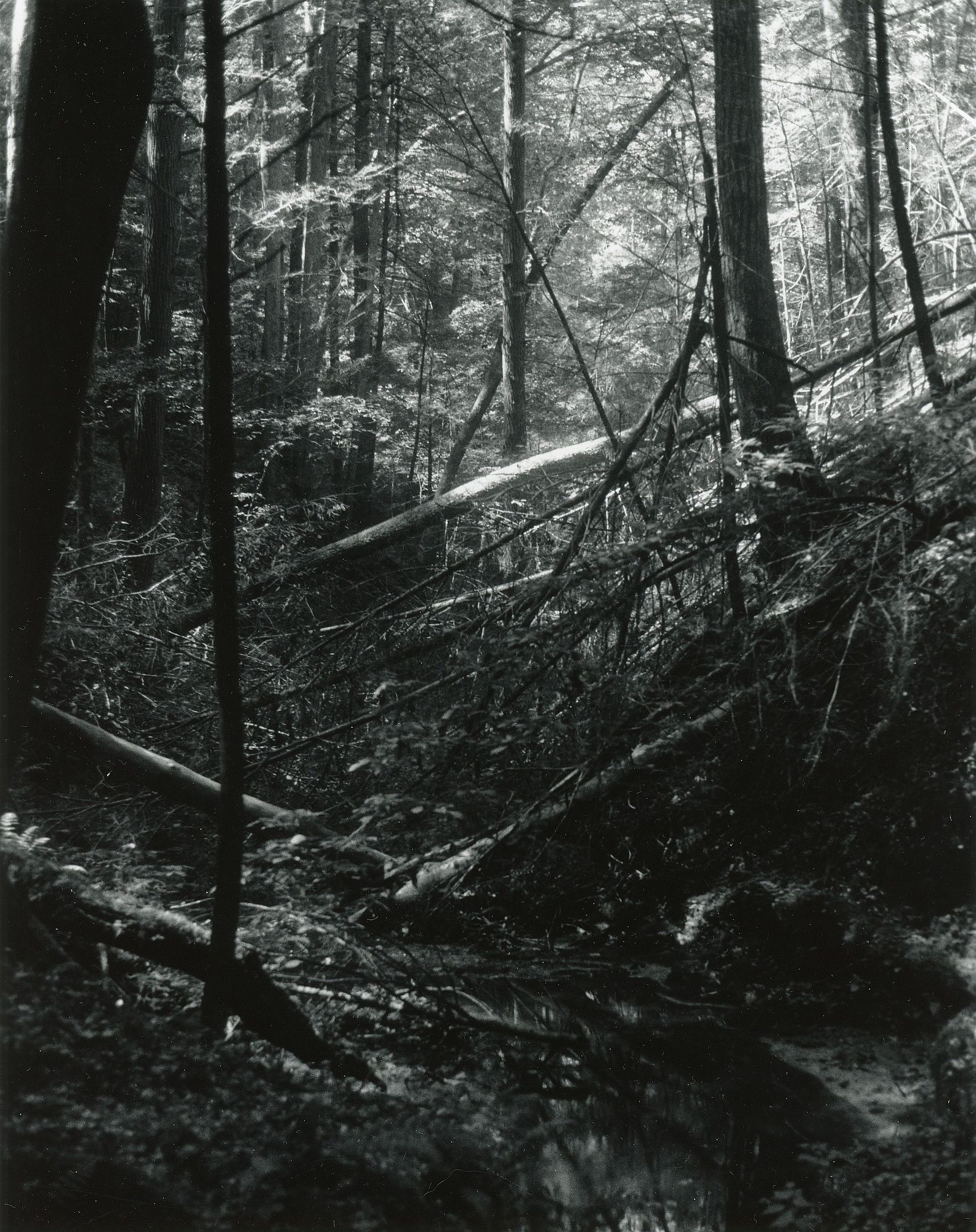 Sonatas II-3 (adagio)