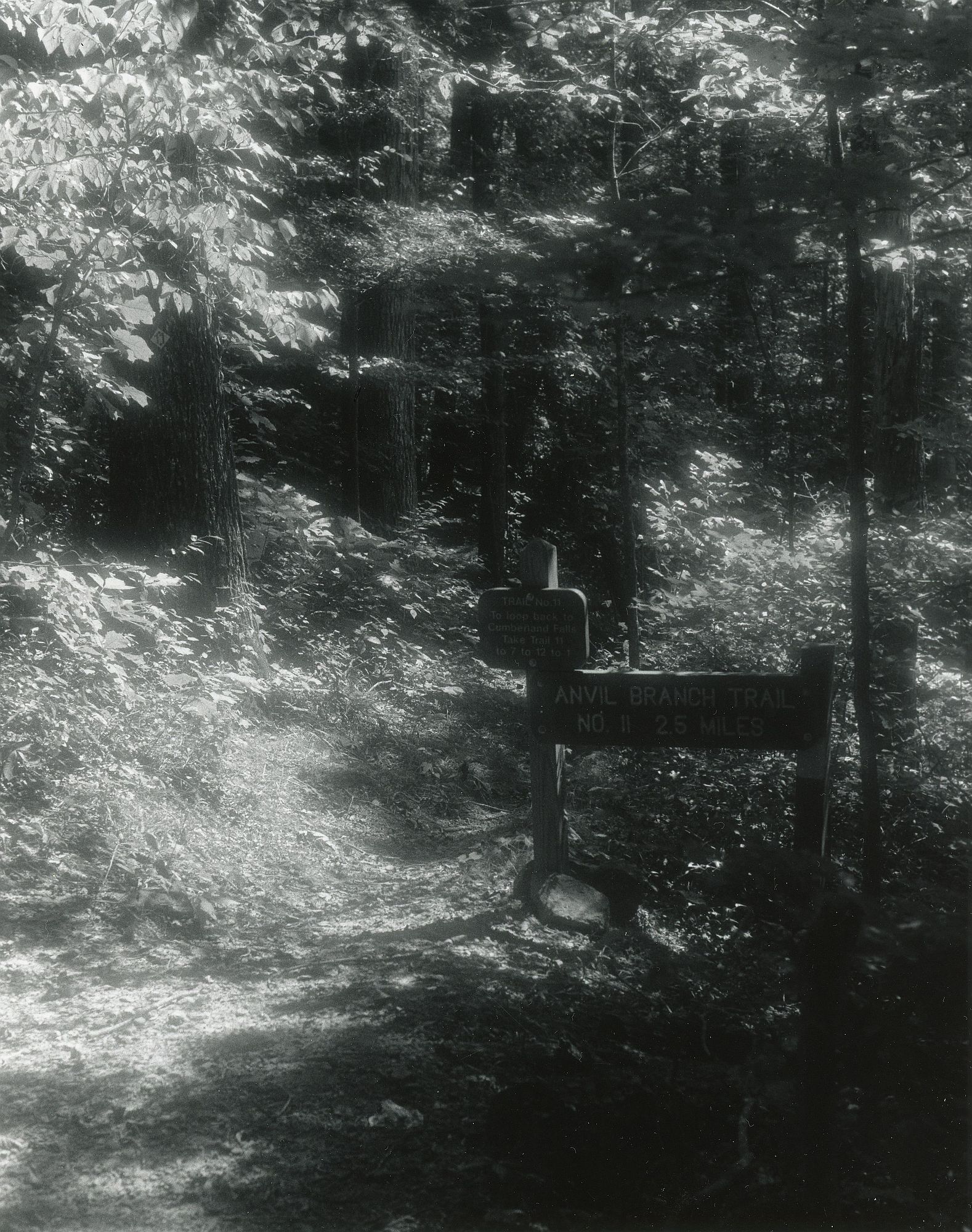 Sonatas II-6 (adagio)