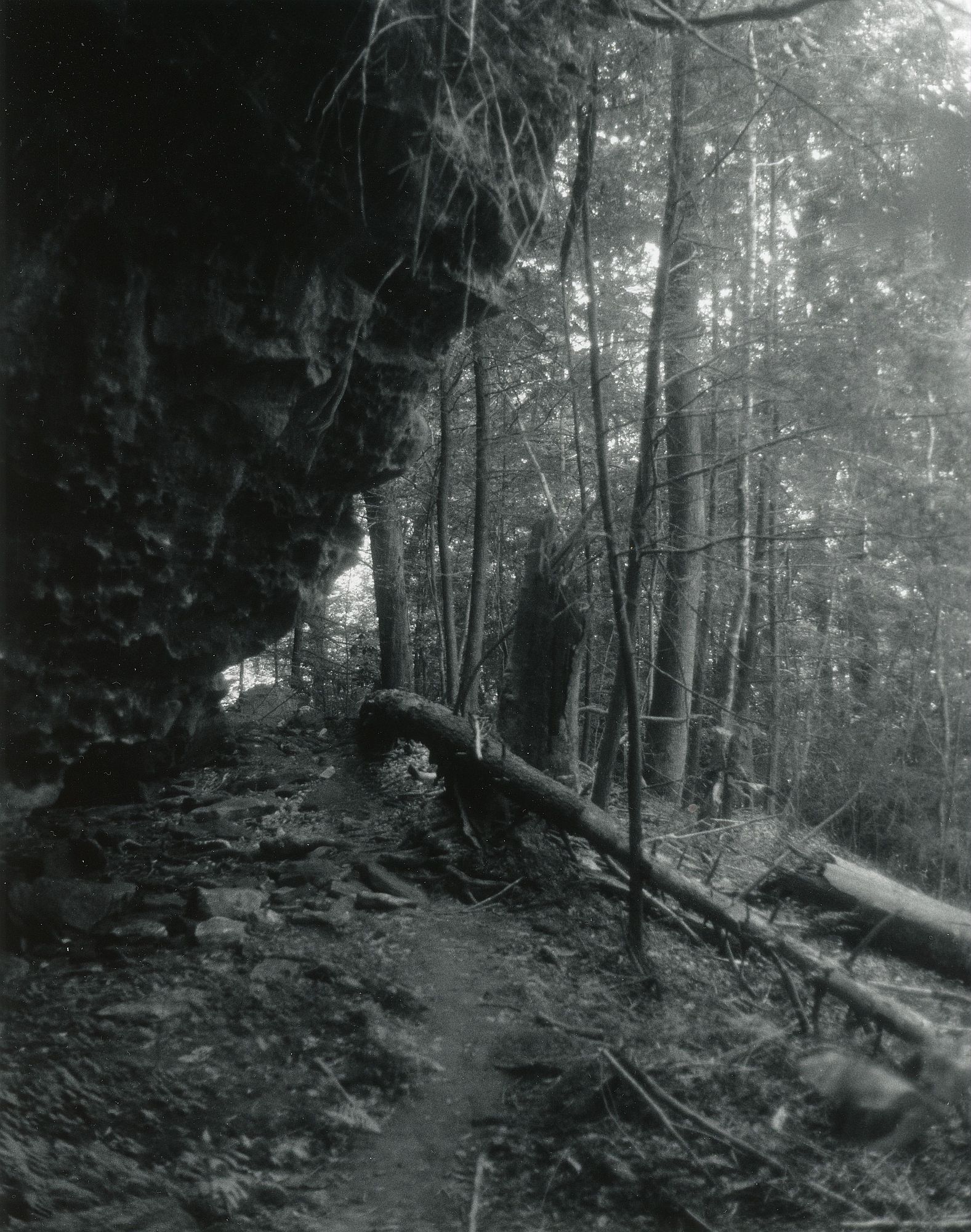 Sonatas II-9 (presto)