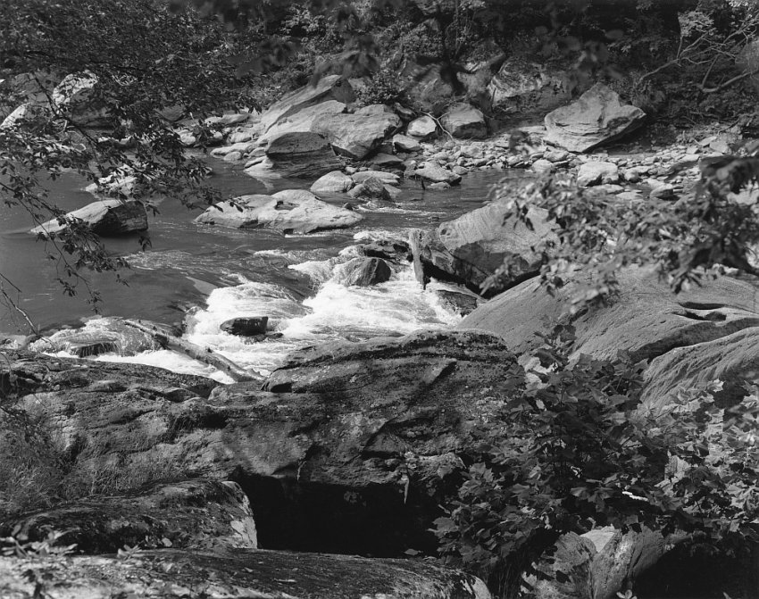 Sonatas IX-13 (Presto Appassionato) - The Forest's Gifts: Walk With Me