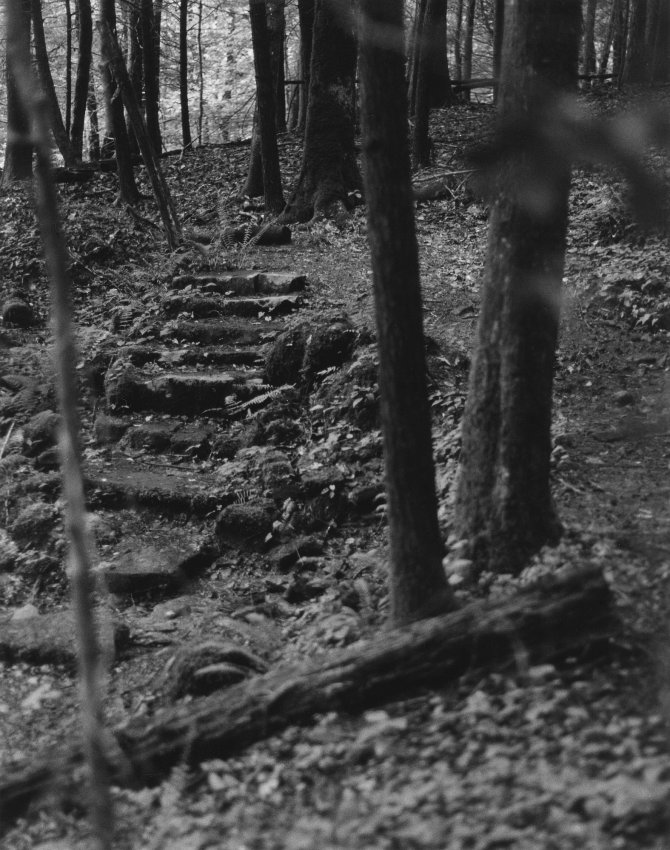 Sonatas IX-24 (Adagio Soave) - The Forest's Gifts: Walk With Me