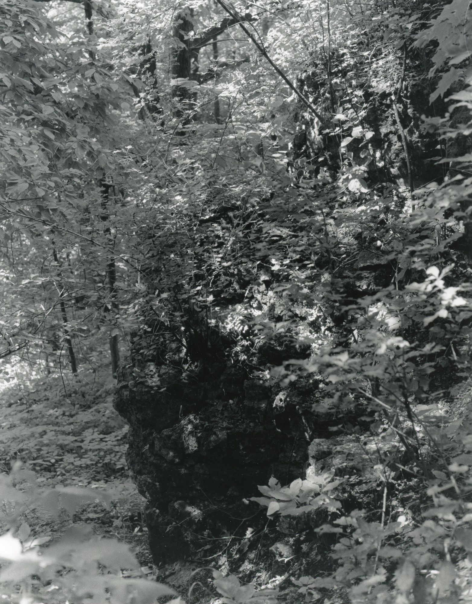 Sonatas VII-3 (Allegretto) The Faerie Dance Sonata