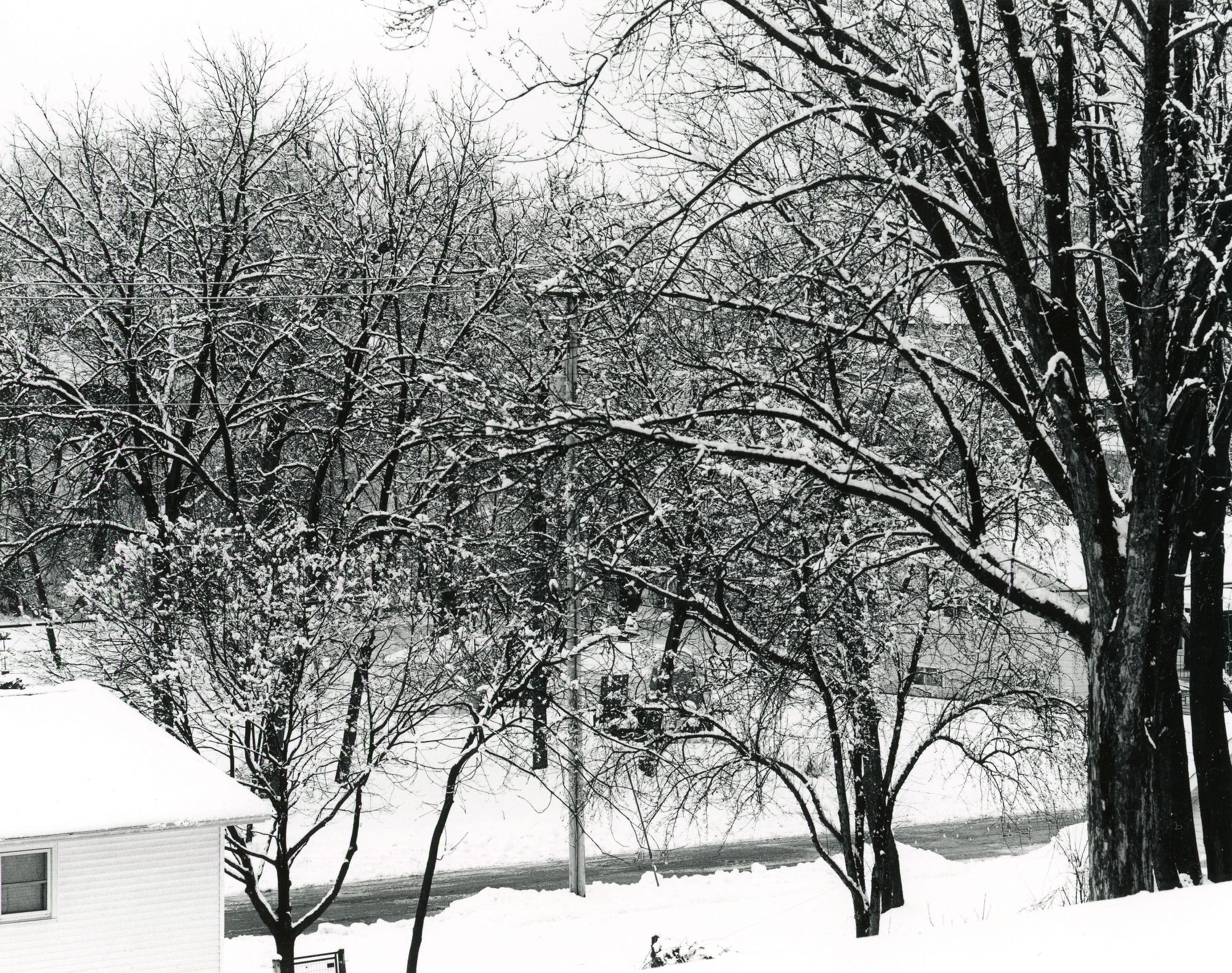 Sonatas VIII-10 (Andante Felice) - Untouched