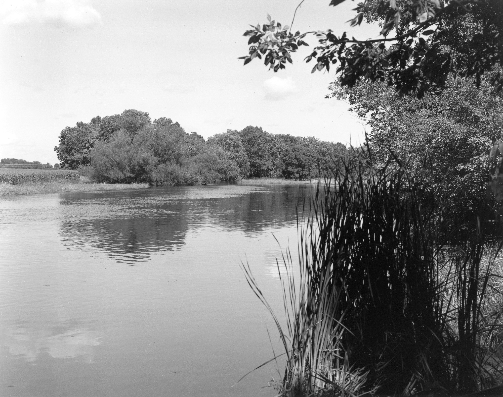Sonatas X-12 (Adulto - Andante) Pieces of the Present Abide - The Life of the River