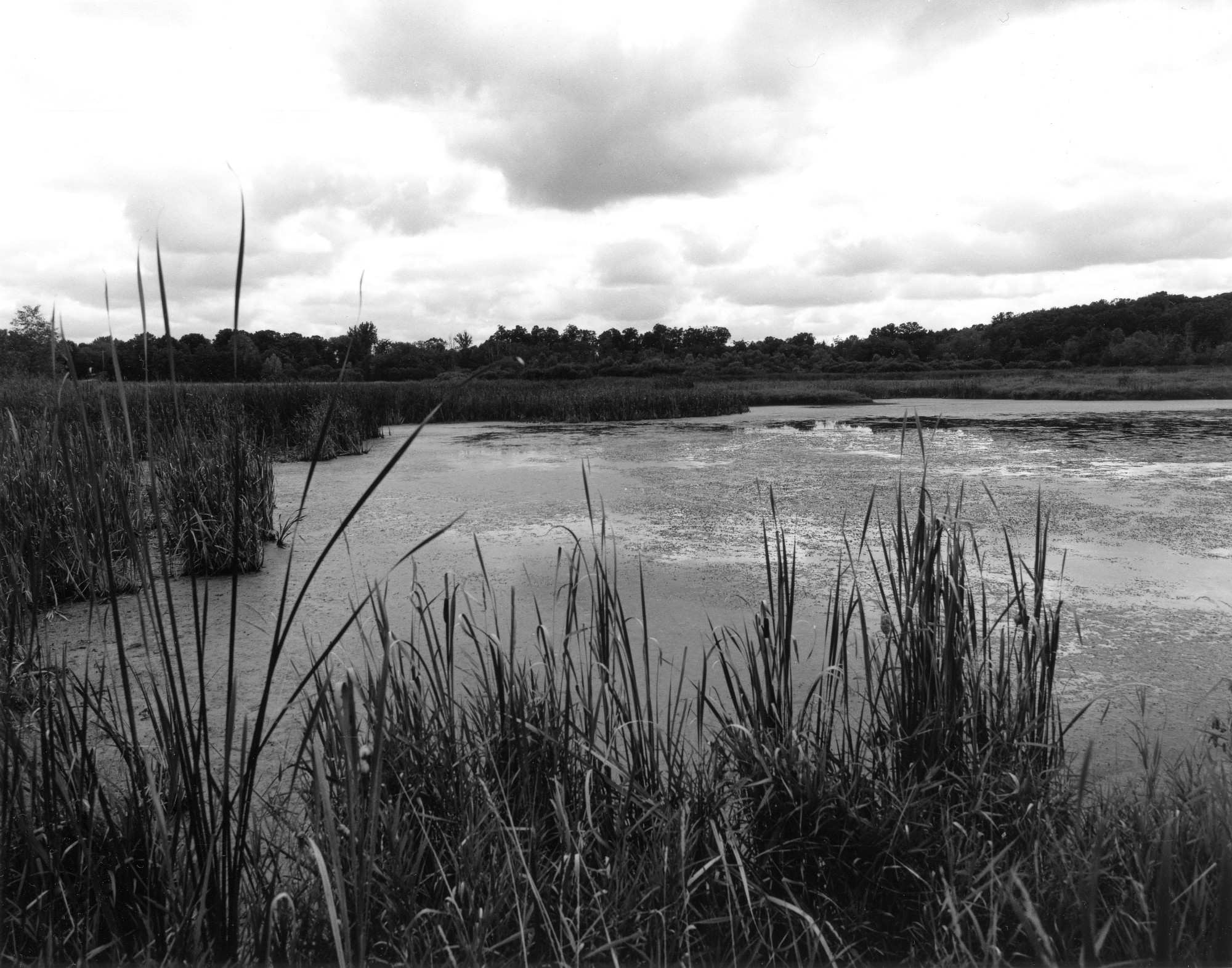 Sonatas X-2 (Nascita - Adagio)  Pieces of the Present Abide - The Life of the River