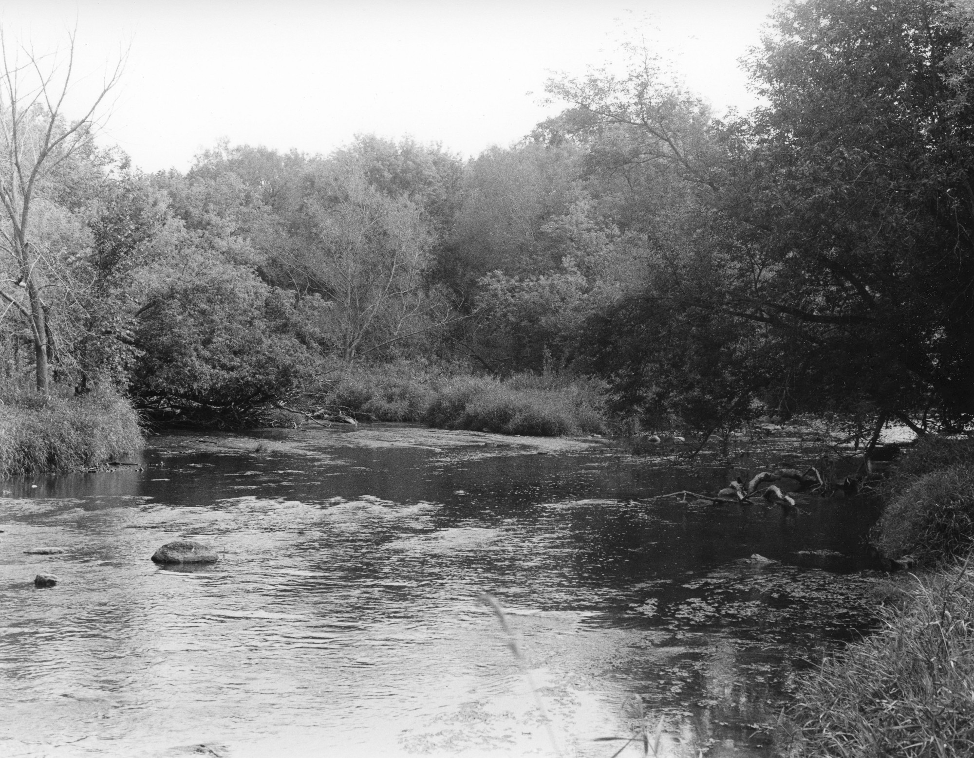 Sonatas X-20 (Anziano - Placido poi Furioso) Pieces of the Present Abide - The Life of the River