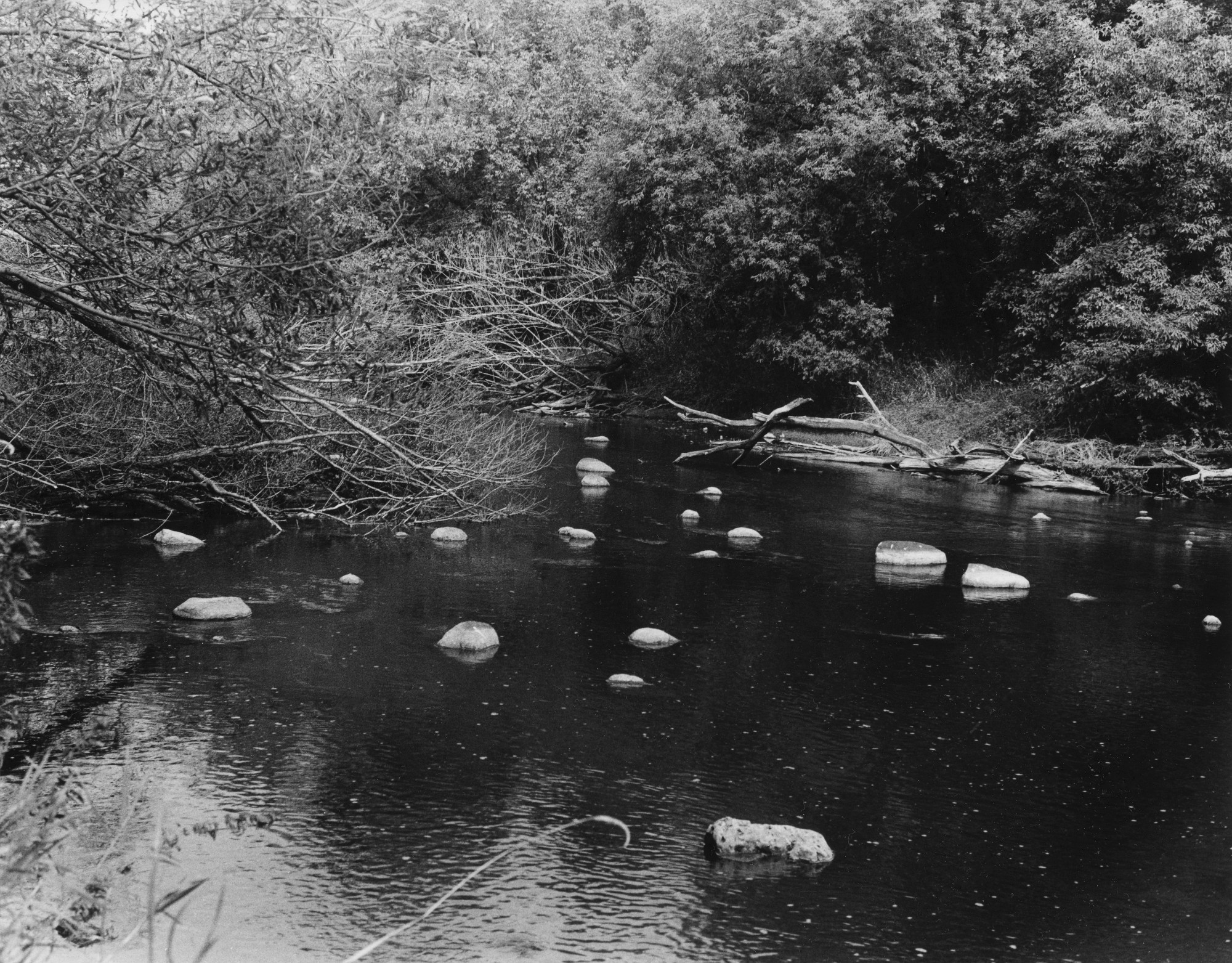 Sonatas X-21 (Anziano - Placido poi Furioso) Pieces of the Present Abide - The Life of the River