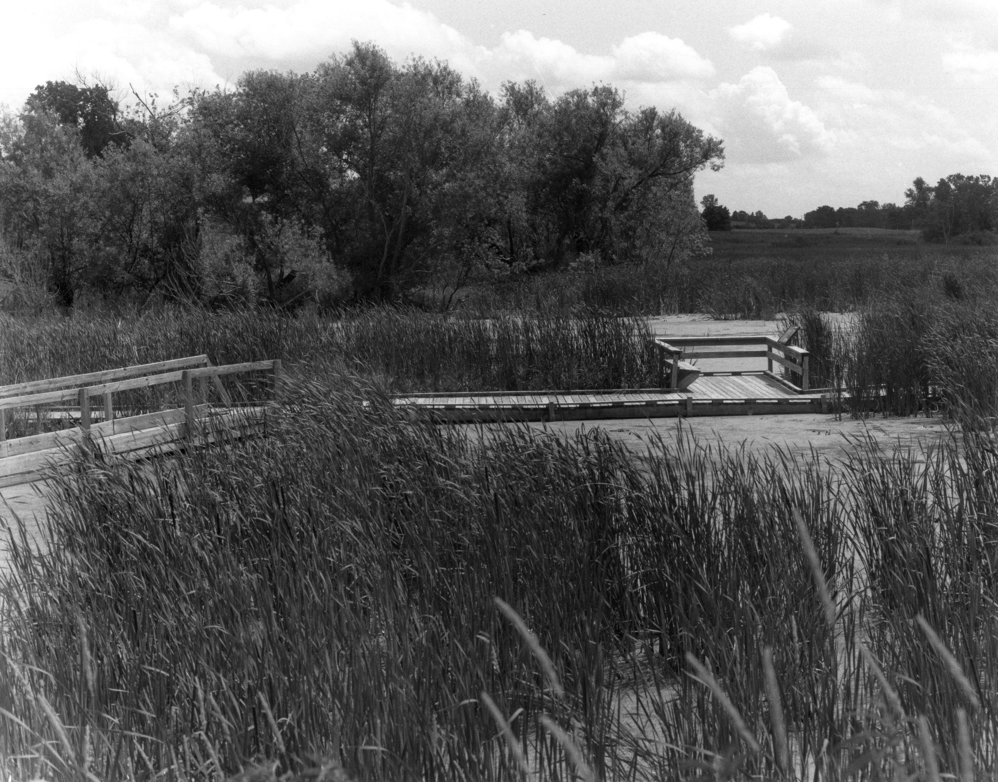 Sonatas X-25 (Morte e Renascita - Andantino)  Pieces of the Present Abide - The Life of the River