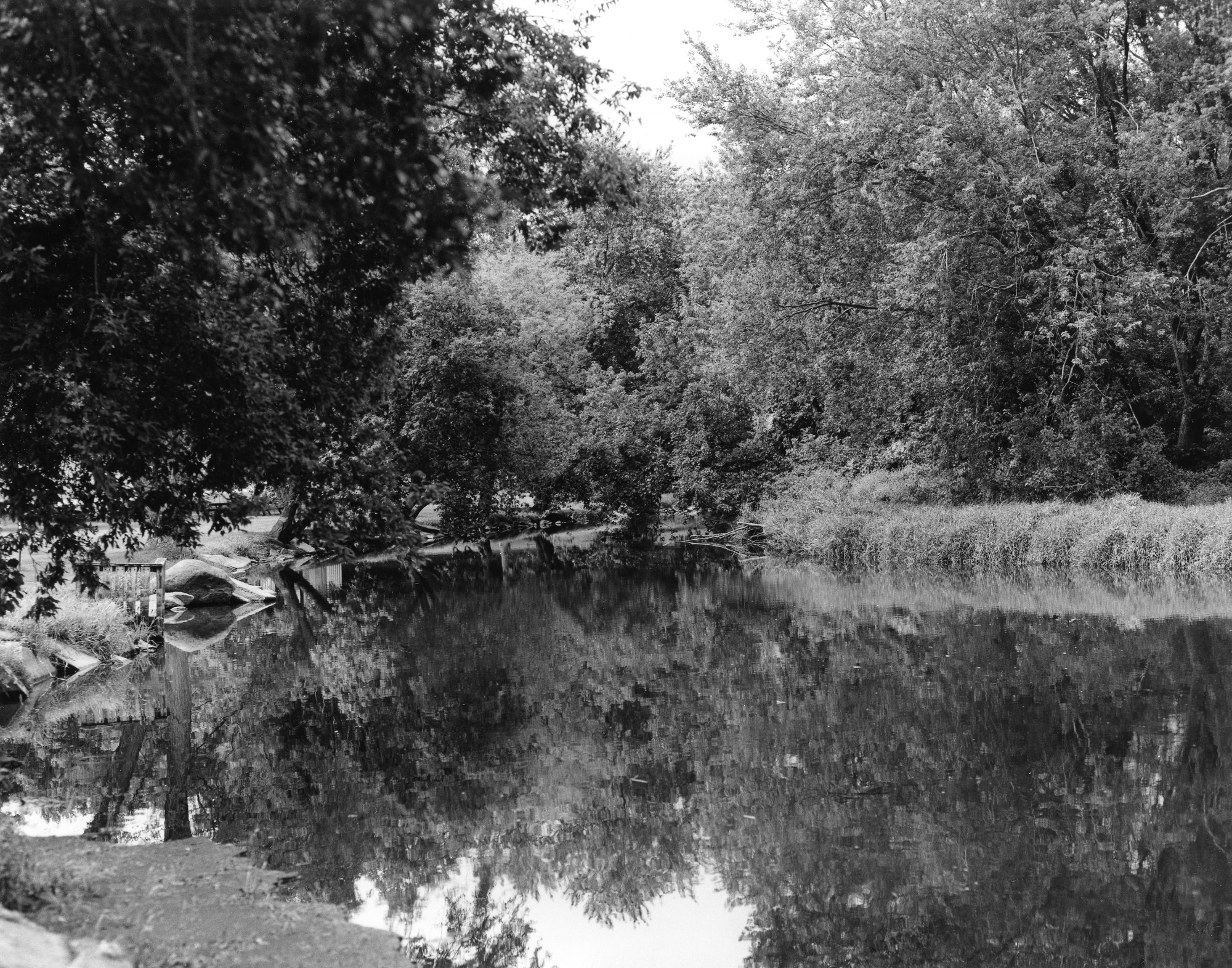 Sonatas X-9 (Gioventu - Presto) Pieces of the Present Abide - The Life of the River