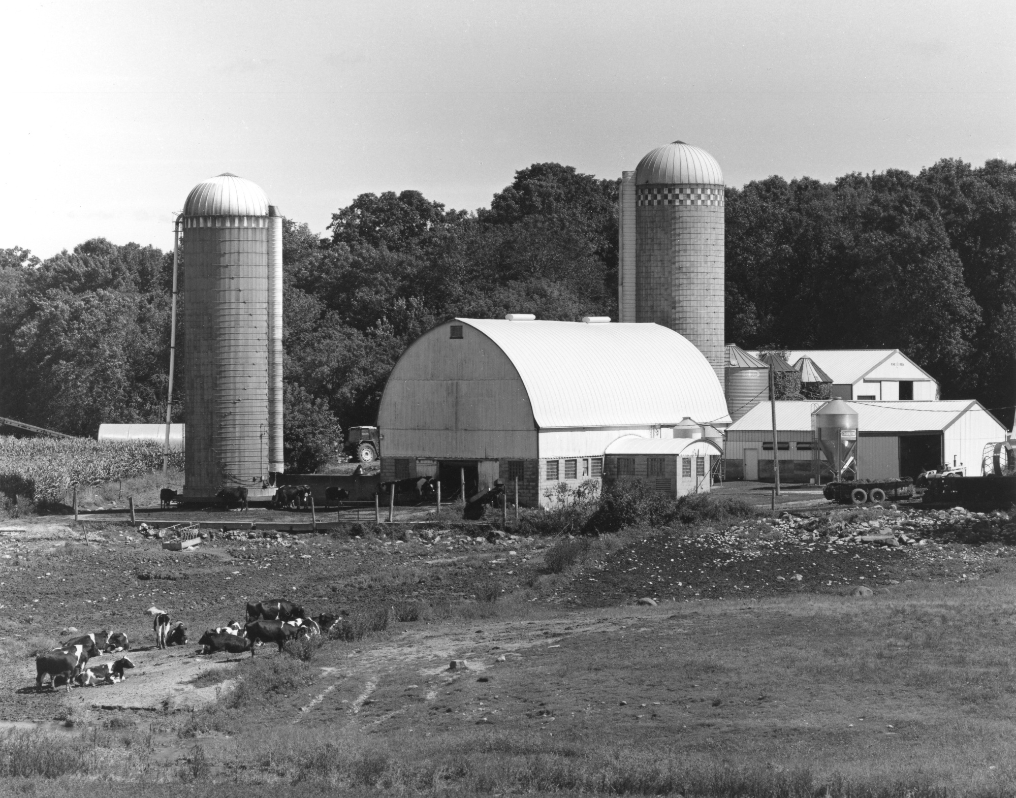 Sonatas XII-80 (Farms)
