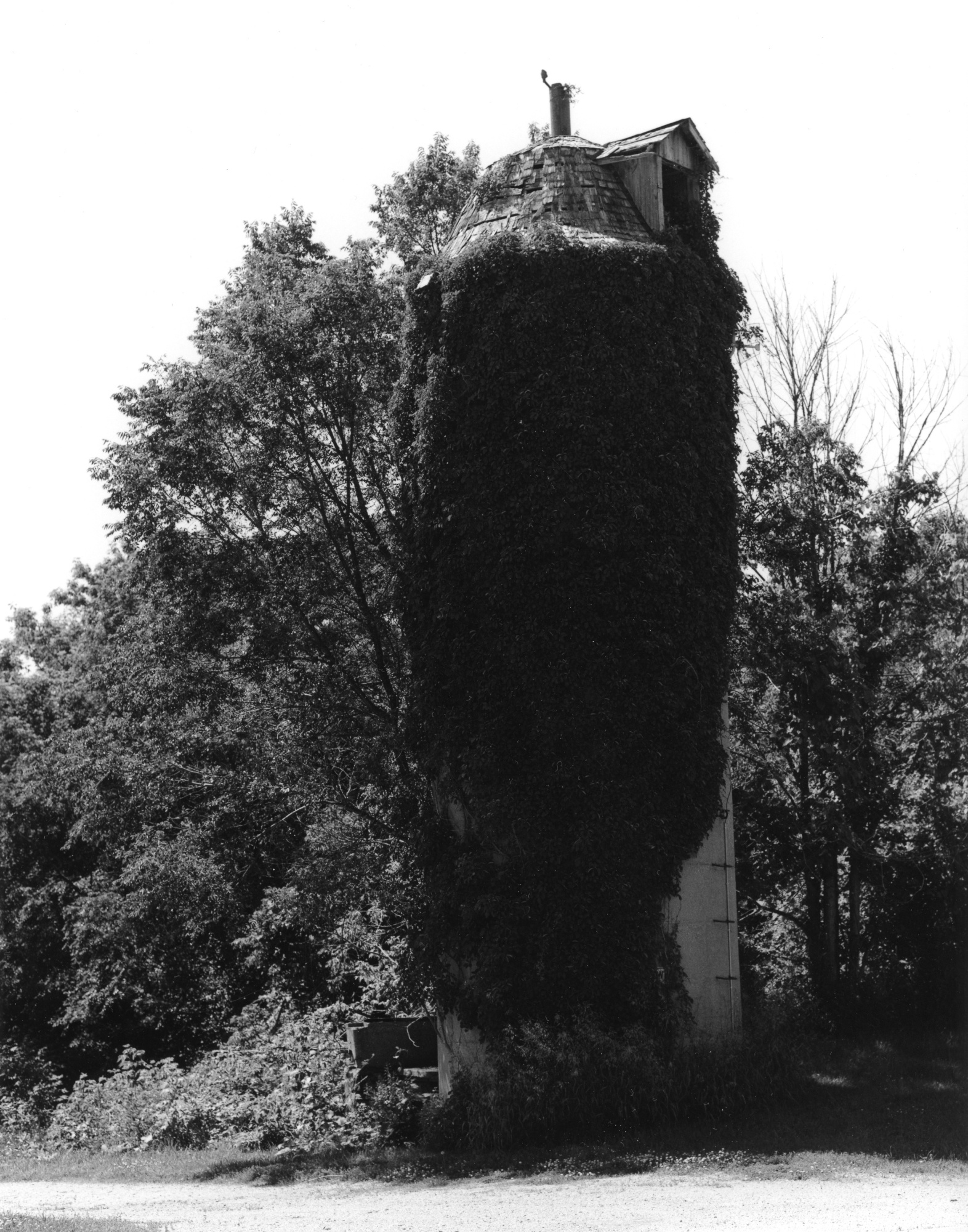 Sonatas XII-85 (Farms)