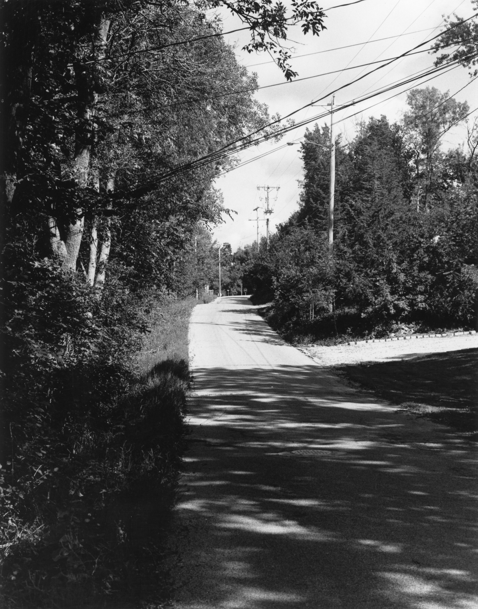 Sonatas XII-97 (Scenery)