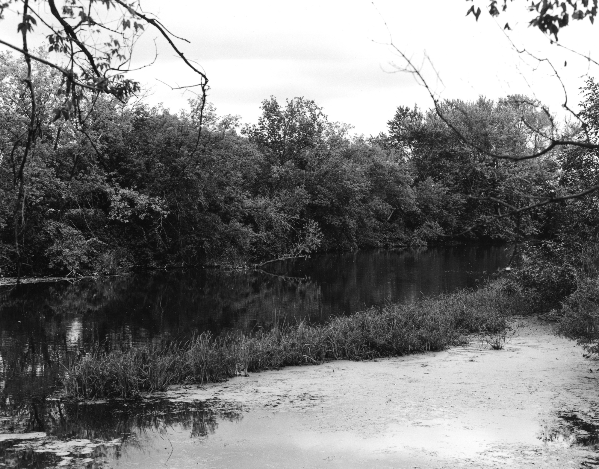 Sonatas XII-99 (Scenery)