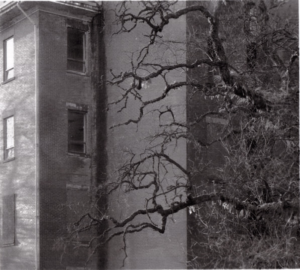 SouthLawn Building, Riverview