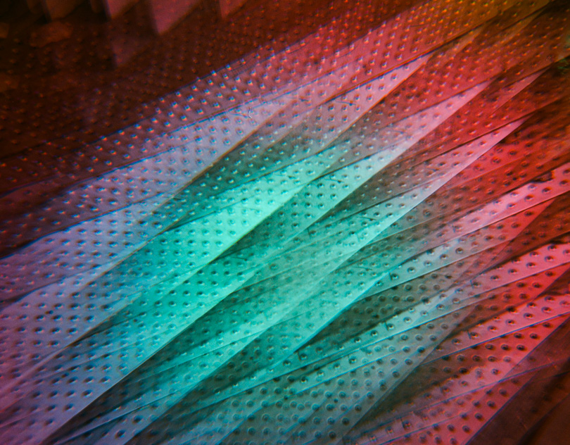 Speckled Shards