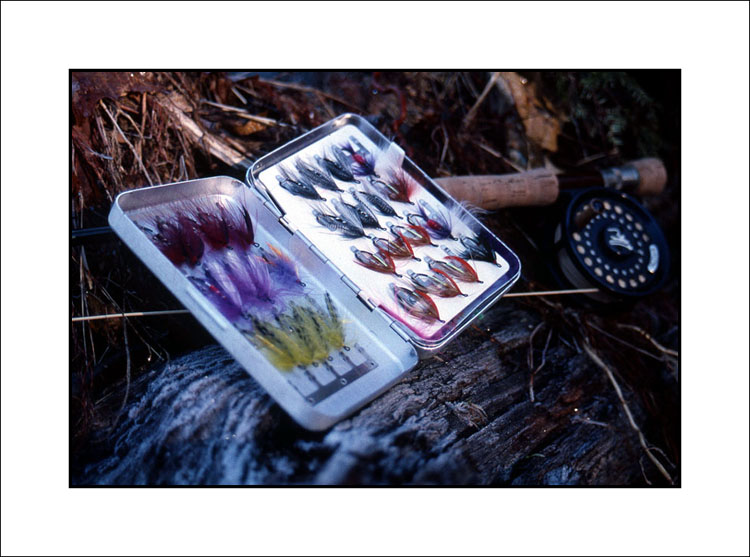 Spey Flies and rod