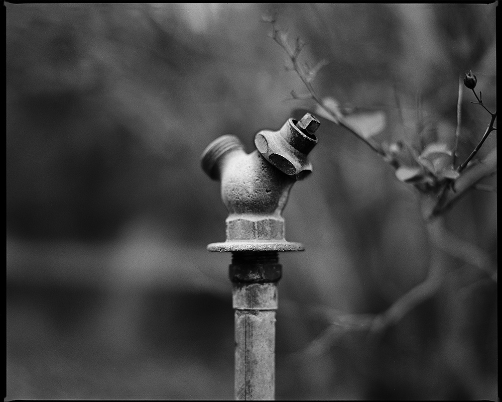 Spigot