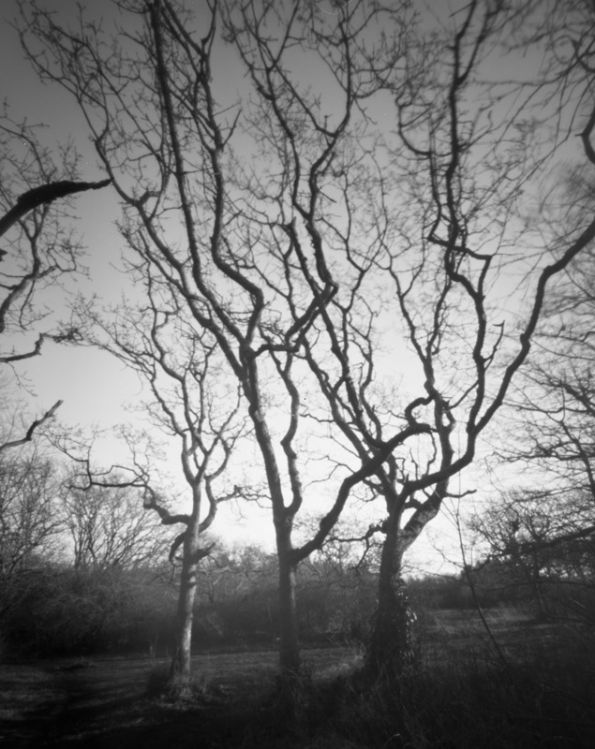 Spindly